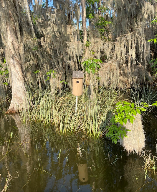 UPO Wood Duck Nesting Box Initiative